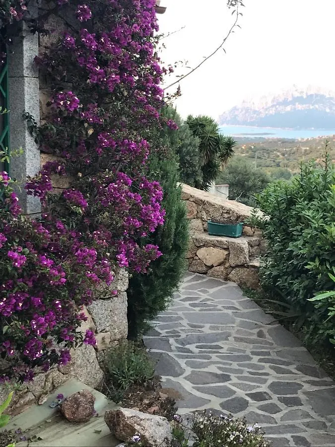La Tana Del Drago Villa Murta Maria 0*,  Italy